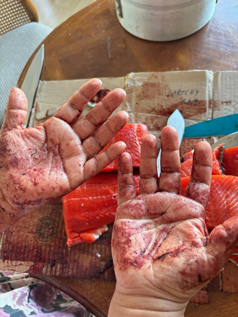Two hands held palms up over a wooden table, stained deep red with salmon blood and scales. Beneath them, bright red-orange salmon fillets rest on flattened cardboard marked "Hartley Bay" in handwriting, with several fish-cleaning knives laid around them.