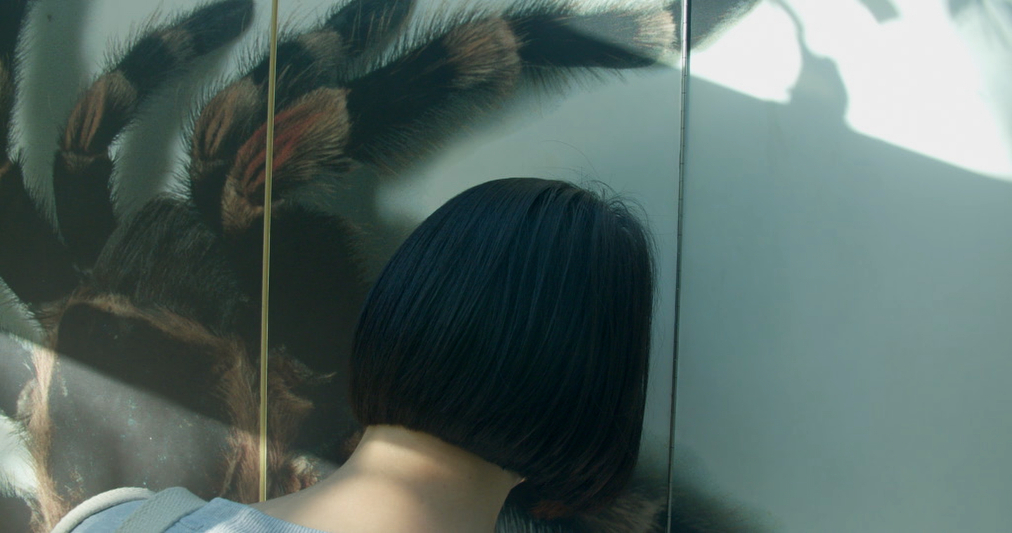 A person with short black hair faces a wall featuring a large, detailed image of a tarantula. Their head is turned away from the camera, almost blending into the spider’s body due to the perspective and lighting.