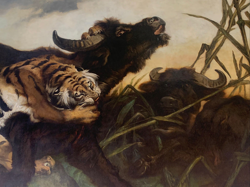 A dramatic painting of a tiger attacking a buffalo, biting its neck as the buffalo raises its head in distress. Another buffalo is partially visible in the background, surrounded by tall grass and bamboo, under a dusky sky.