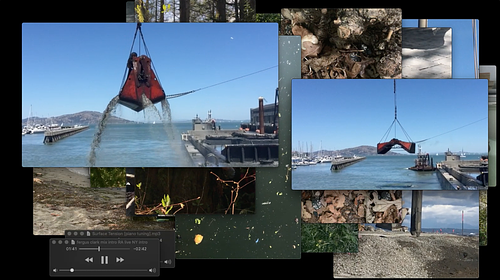 A digital collage of overlapping images and video stills featuring natural and industrial scenes. The central focus is on two stills of a mechanical claw dredging water near a marina, with water pouring out as it lifts debris. Surrounding these are images of forest floors, beach sand, leaves, a dock, a music player overlay, and fragments of other natural textures. The background shows a clear blue sky and bay with sailboats and distant hills visible.
