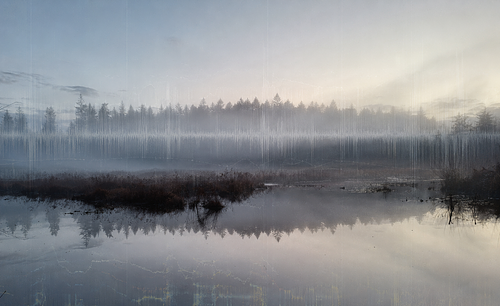 A panoramic shot of Beaver Lake in Stanley Park, Vancouver. Tall, dark pine trees are reflected in the lake’s still surface. Marshy shrubs define the horizon line within the lake. The photo is edited and overlaid with an audio waveform graphic and oil-like marks, giving an ethereal effect. 